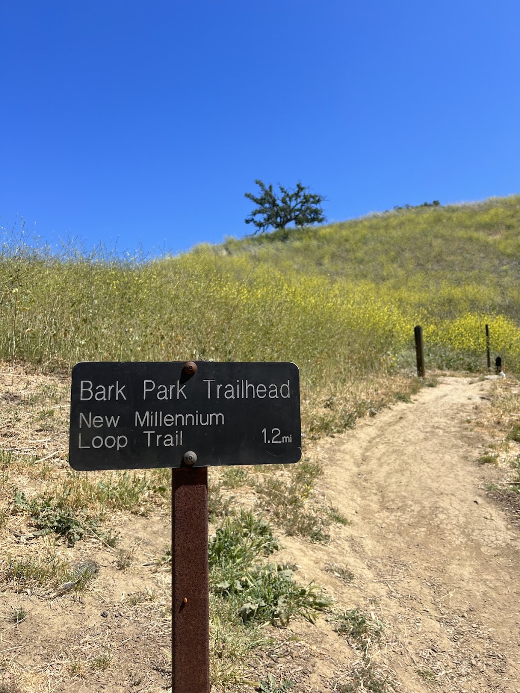 Calabasas Bark Park