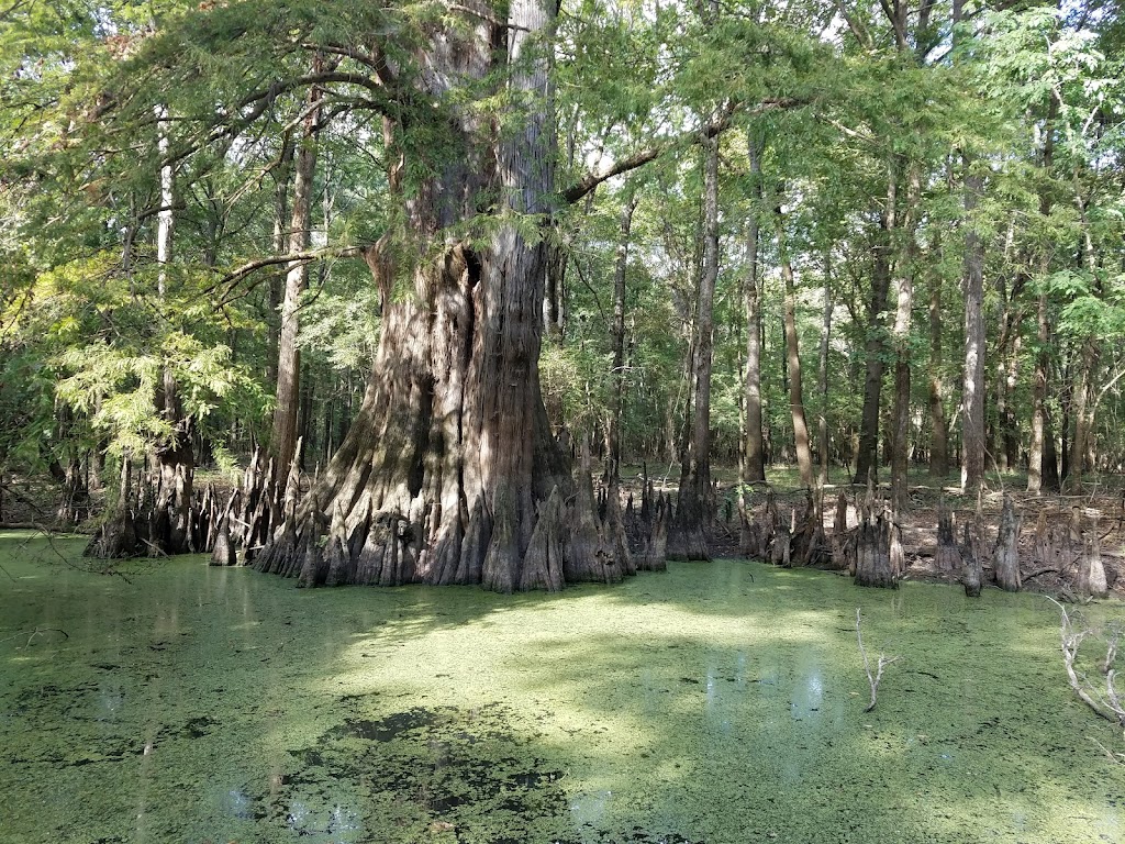 White River National Wildlife Refuge