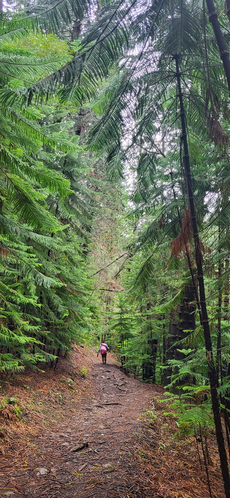 Hauula Loop Trail
