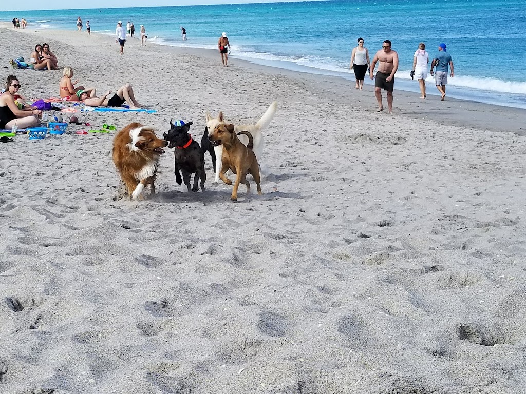 Jupiter Dog Beach