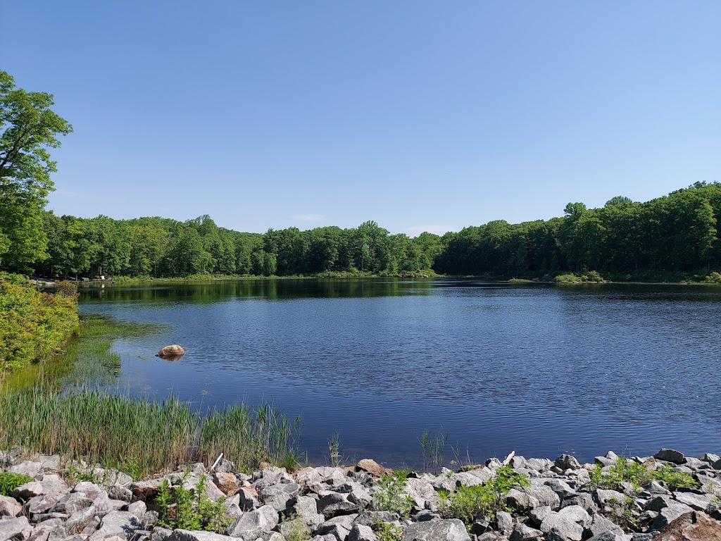 Mahlon Dickerson Reservation