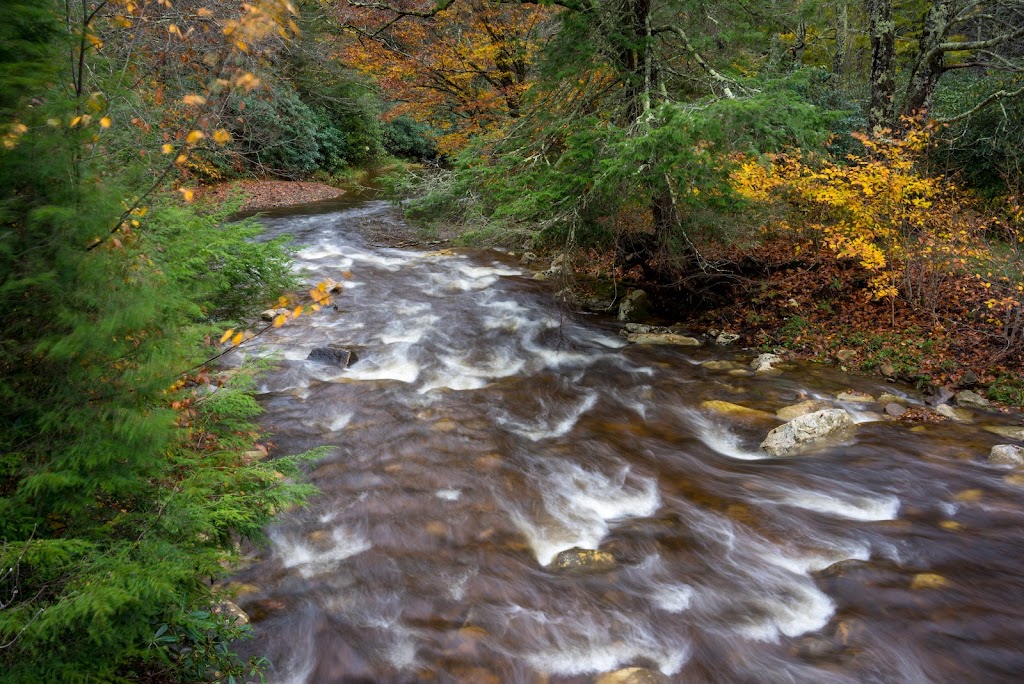 Cranberry Wilderness