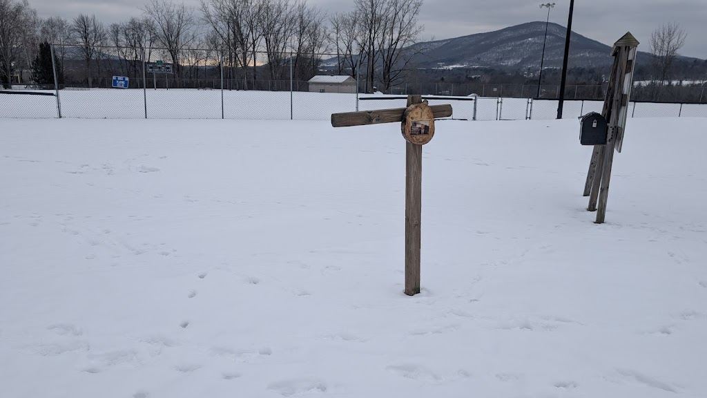 Bennington Dog Park at Willow Park