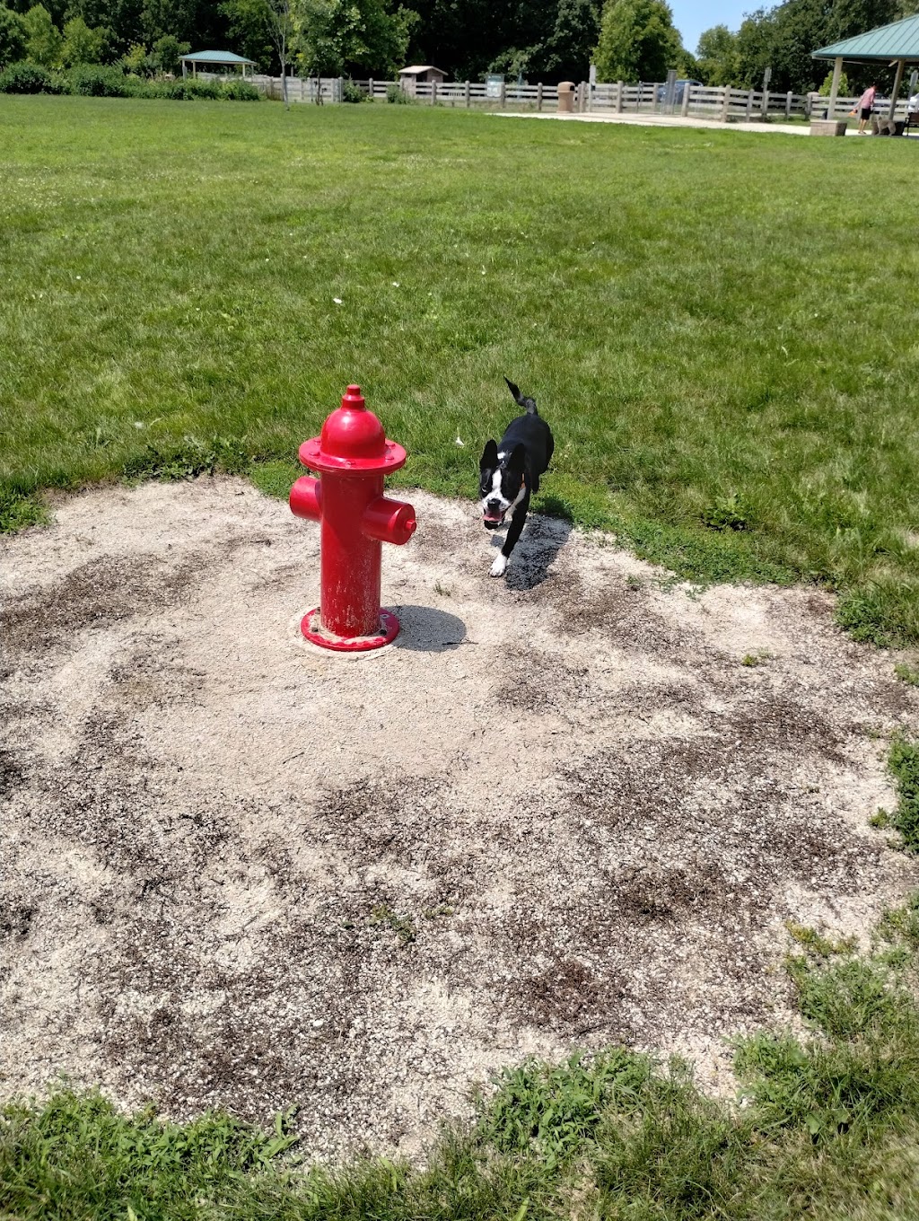 Hammel Woods Dog Park
