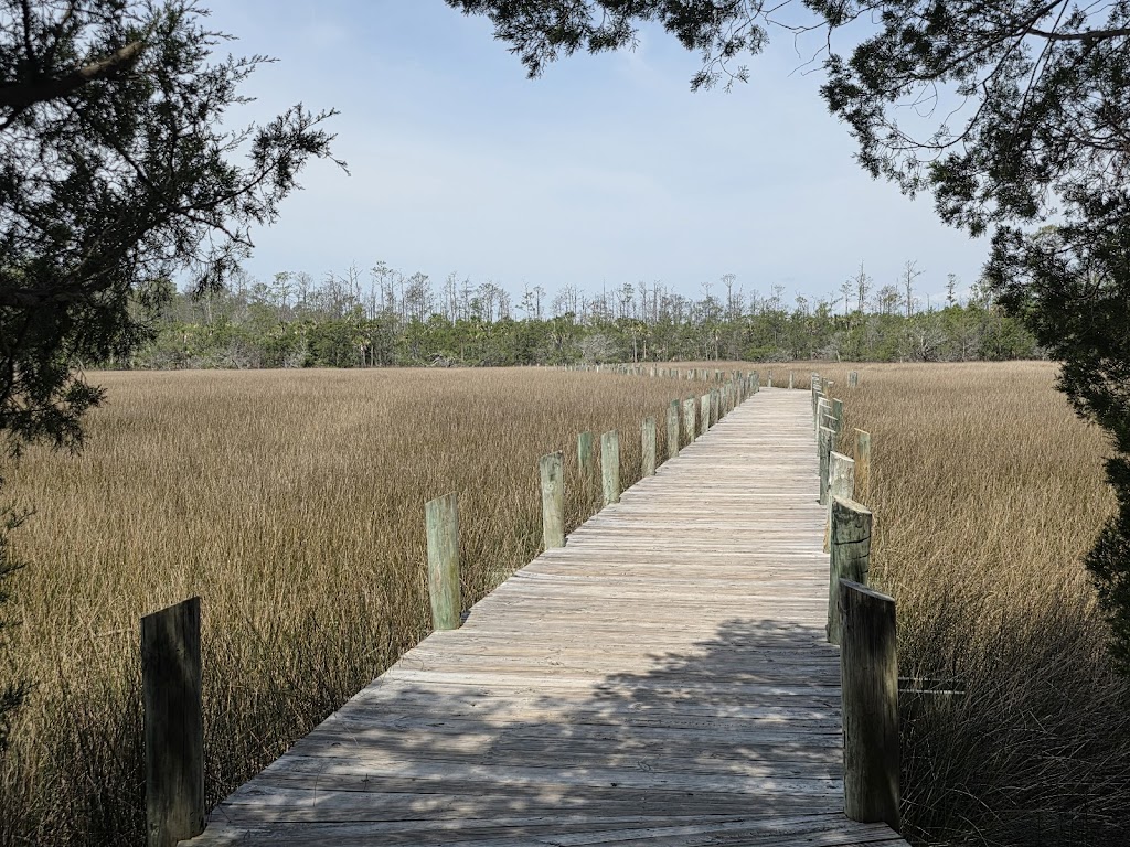 Palmetto Islands County Park Dog Area