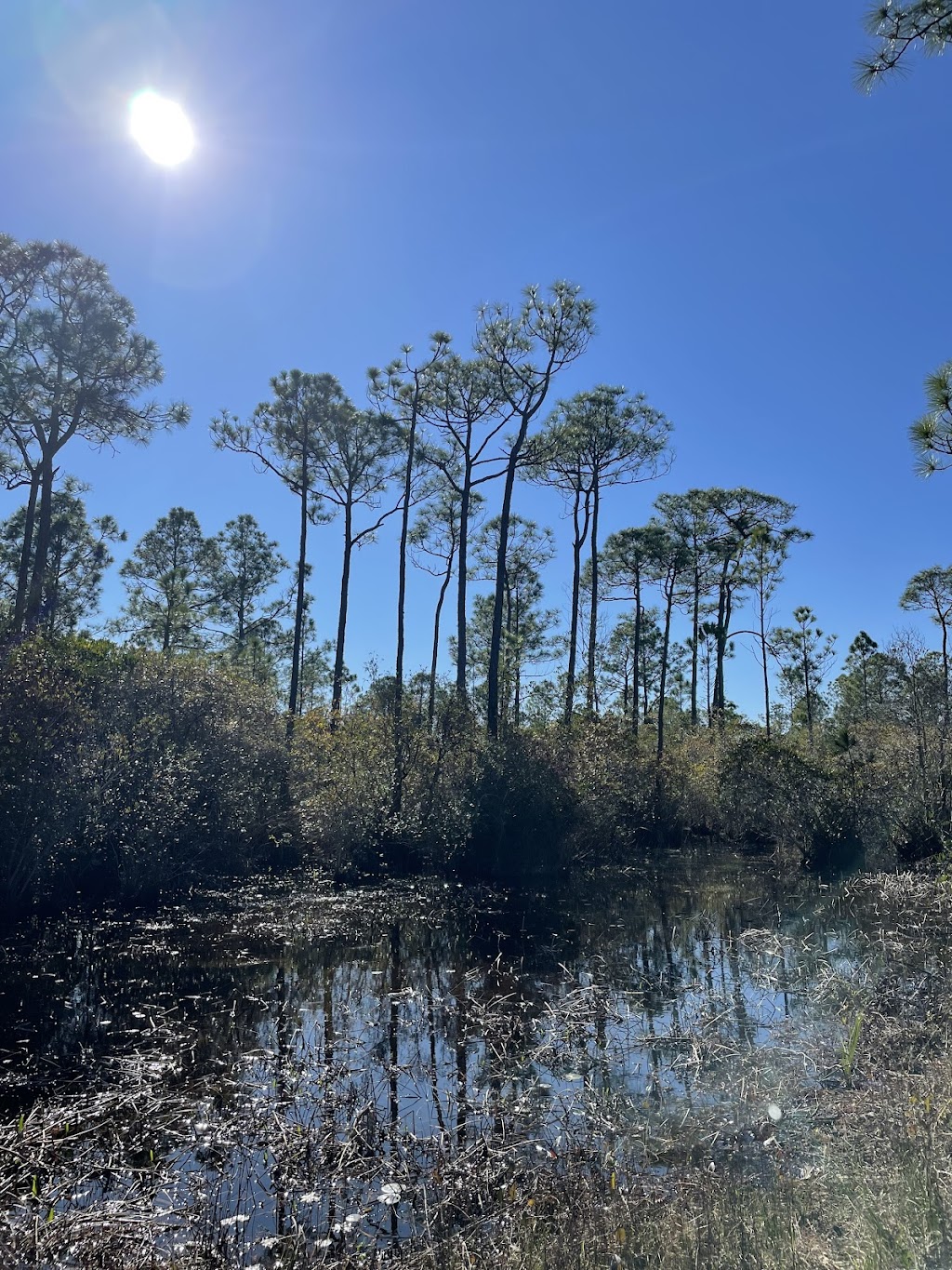Cotton Bayou Trail
