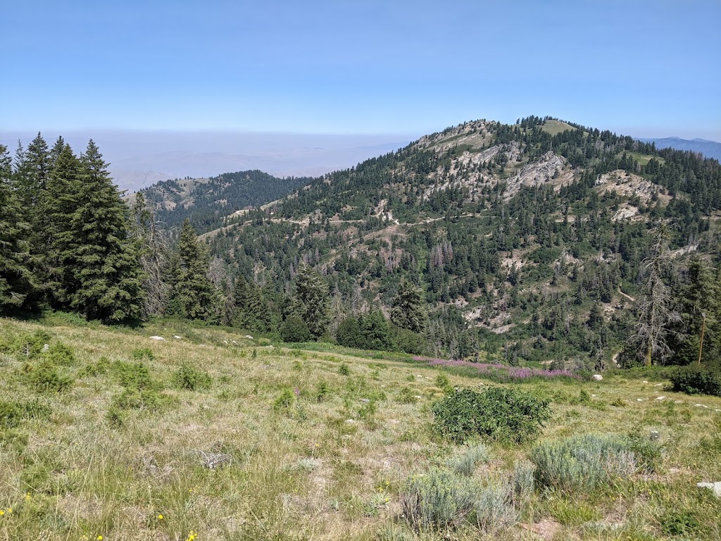 Shafer Butte (Bogus Basin)