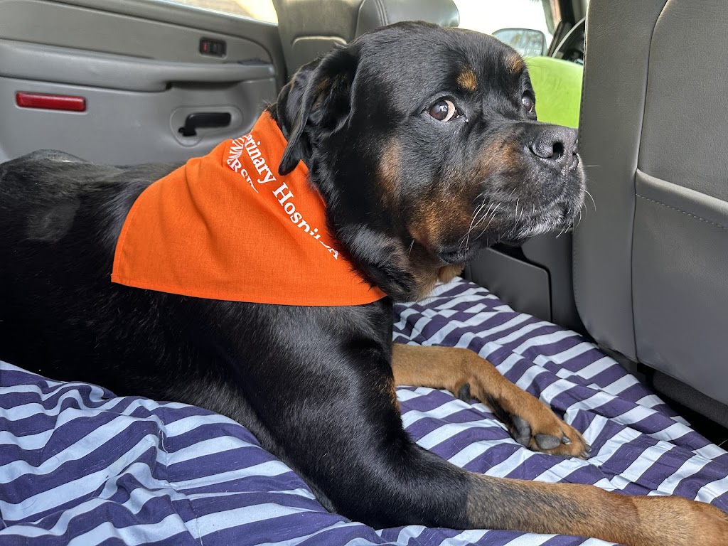 UF Small Animal Hospital