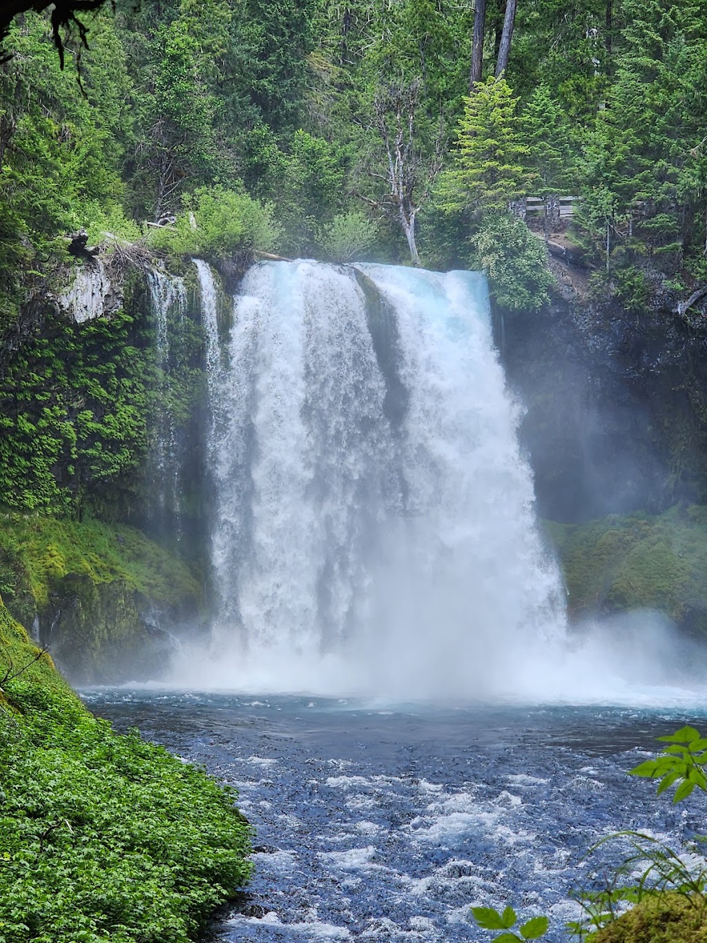 Willamette National Forest