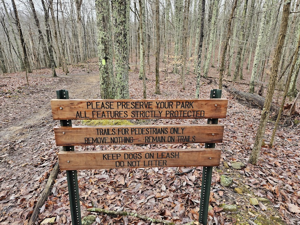 Beaman Park