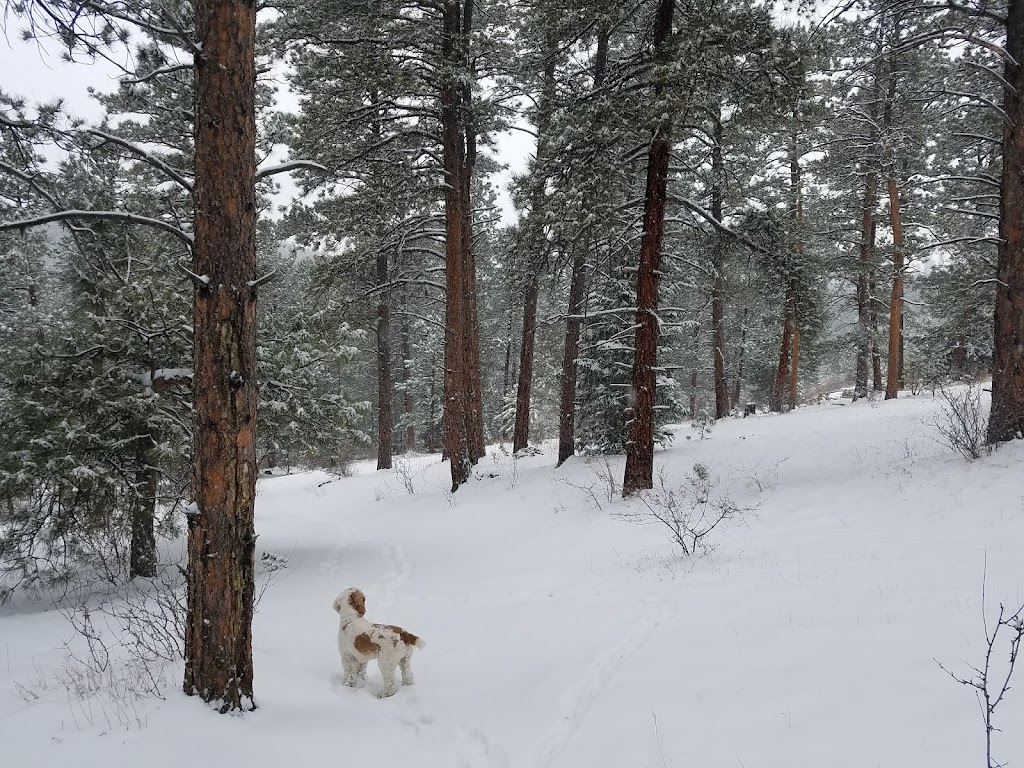 Elk Meadow Off-Leash Dog Park