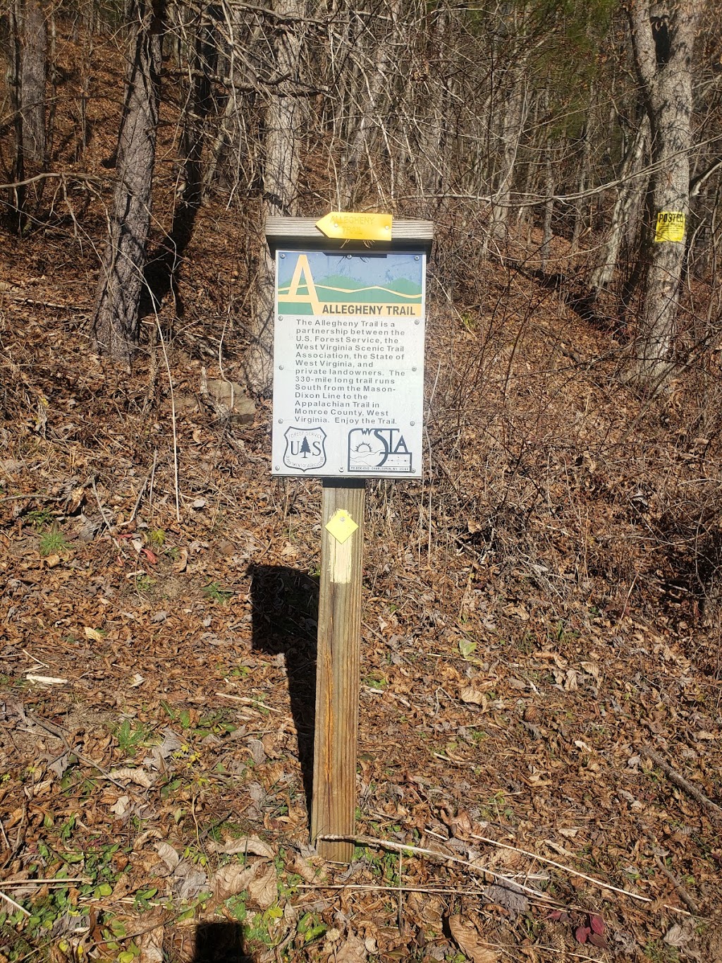 Allegheny Trail