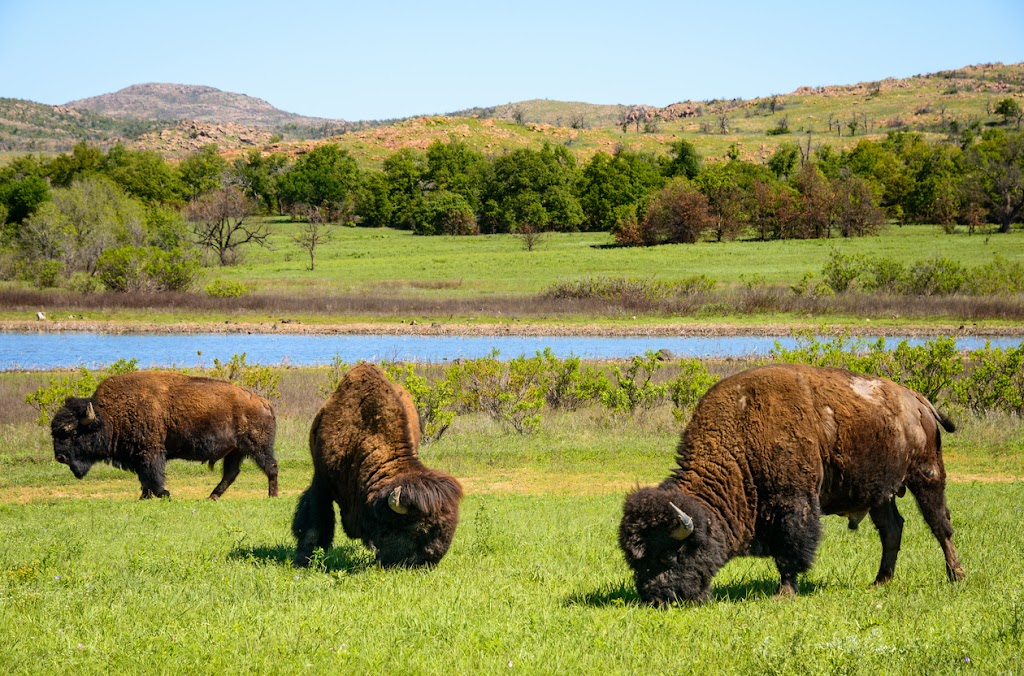 Wichita Mountains National Wildlife Refuge, Indiahoma