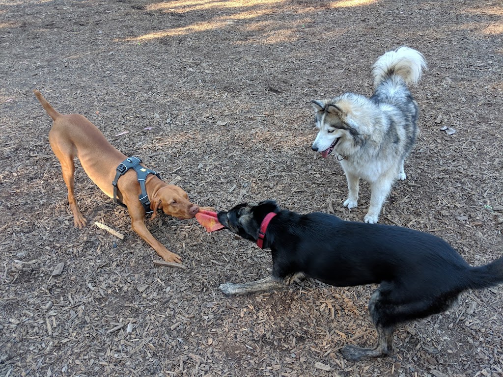 Joaquin Miller Dog Park