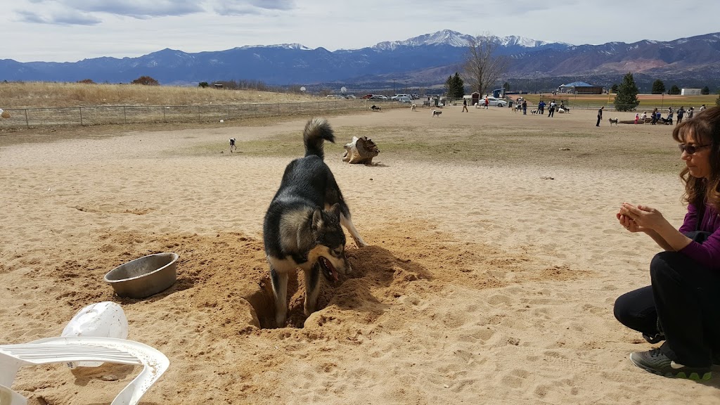 Rampart Park Dog Park