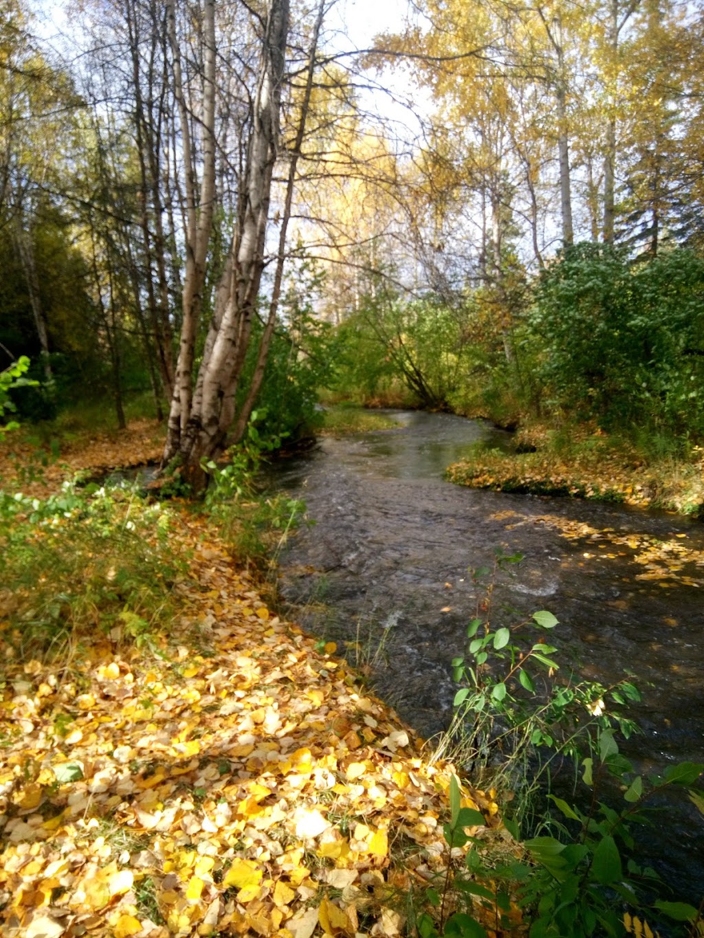 Chester Creek Trail