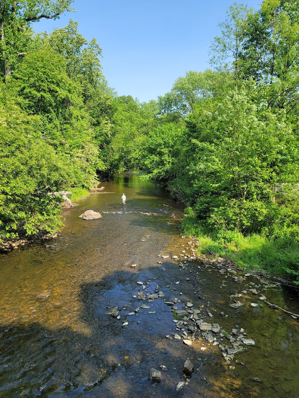 Chester Park