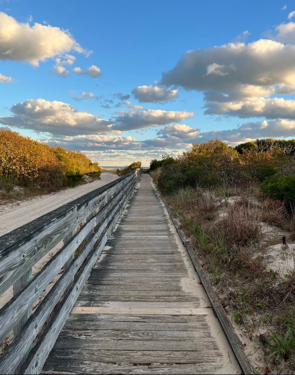 Cape May National Wildlife Refuge