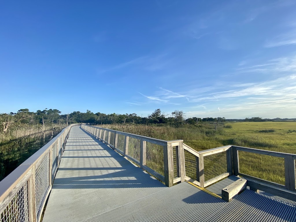Cape Henlopen Gordons Pond Trail