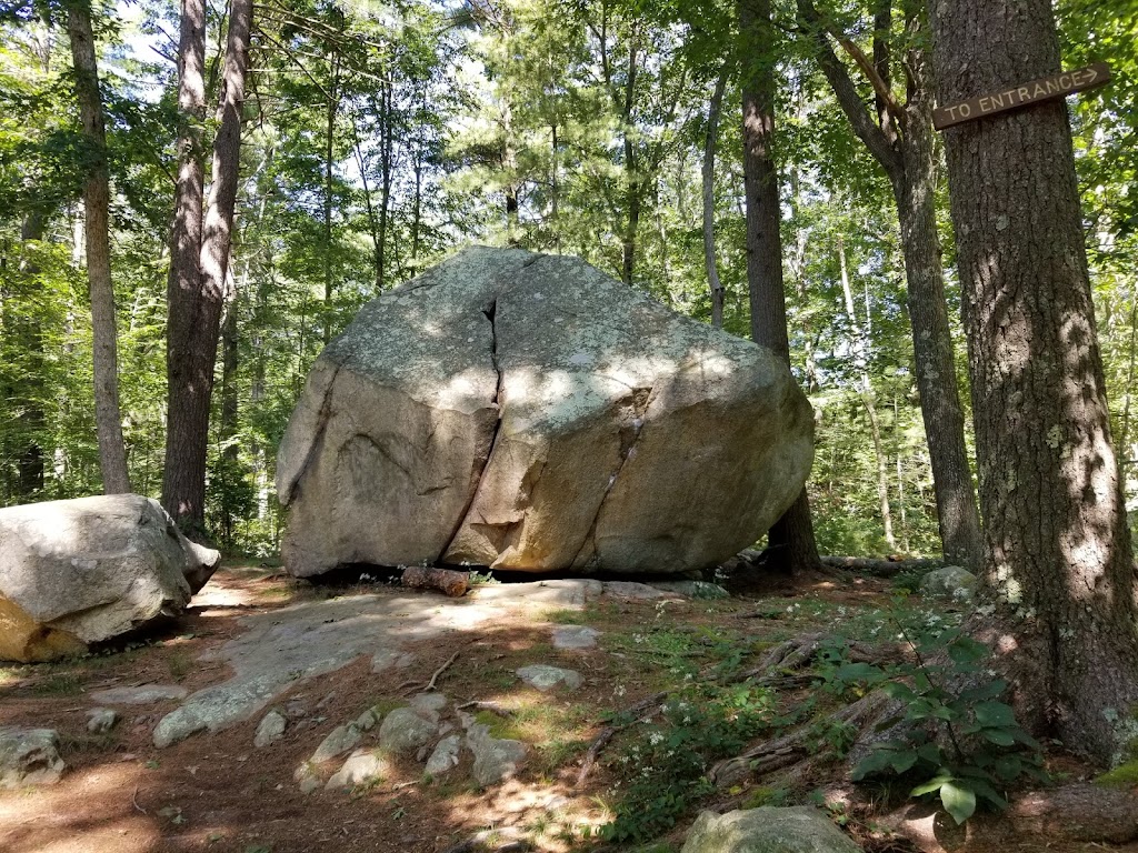 Whitney & Thayer Woods