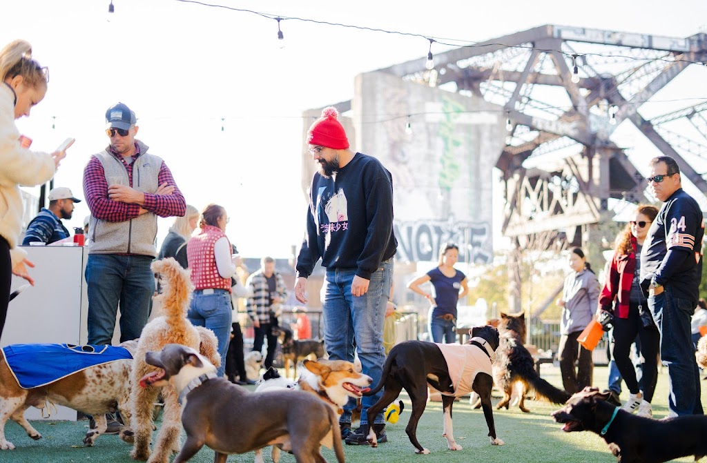 Pup-Up Dog Park (Indoor)