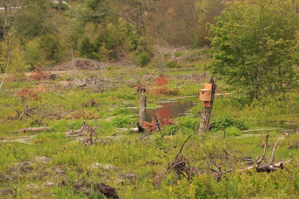 Tidmarsh Wildlife Sanctuary