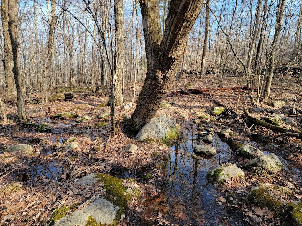 Mt. Tom Trail (Arcadia Management Area)