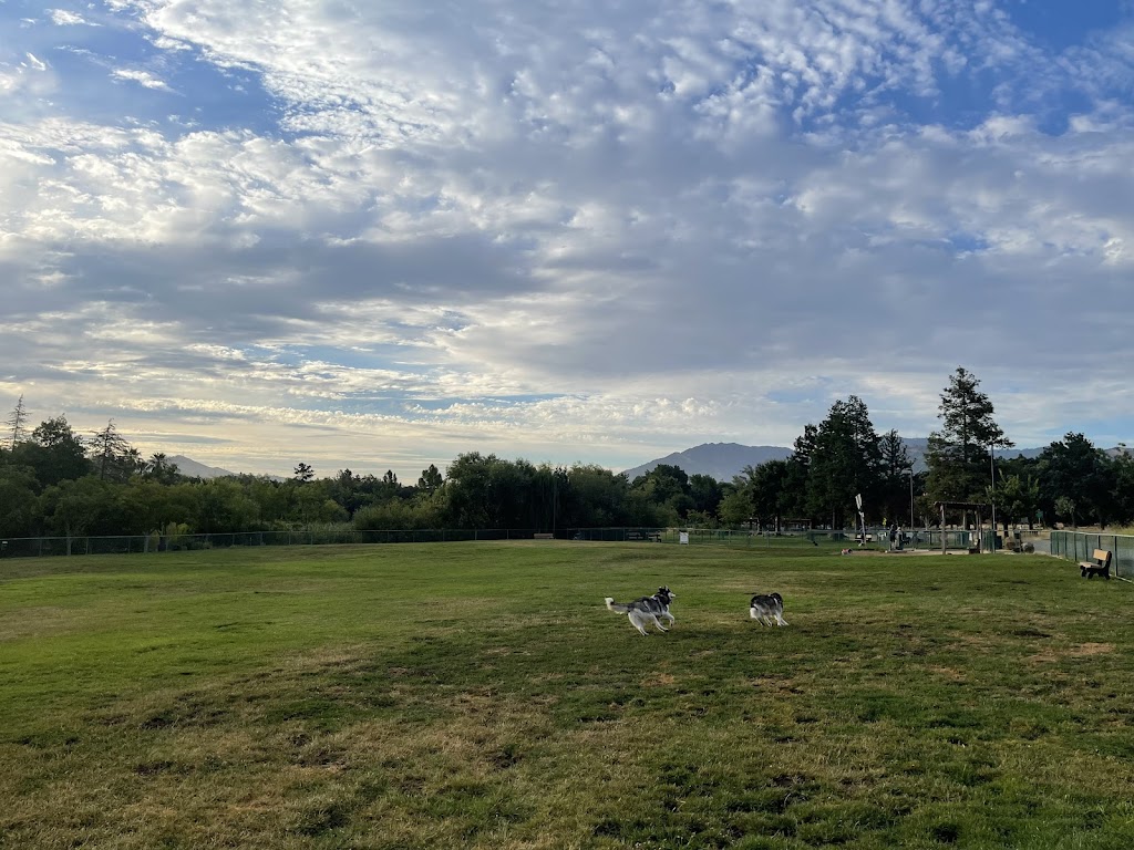 Paw Patch Dog Park