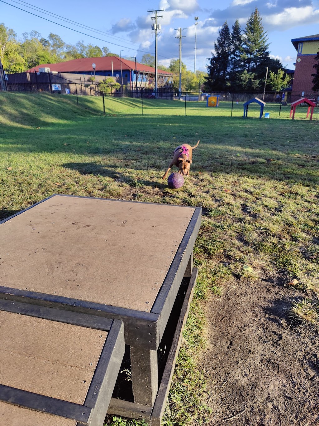 Niles Avenue Dog Park