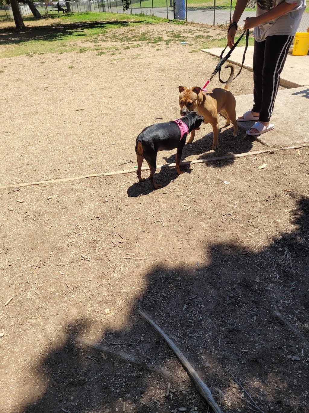 Howe Park Dog Park