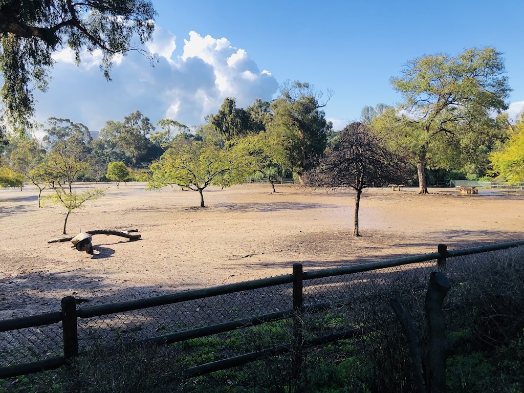 Nate's Point Off-Leash Dog Park