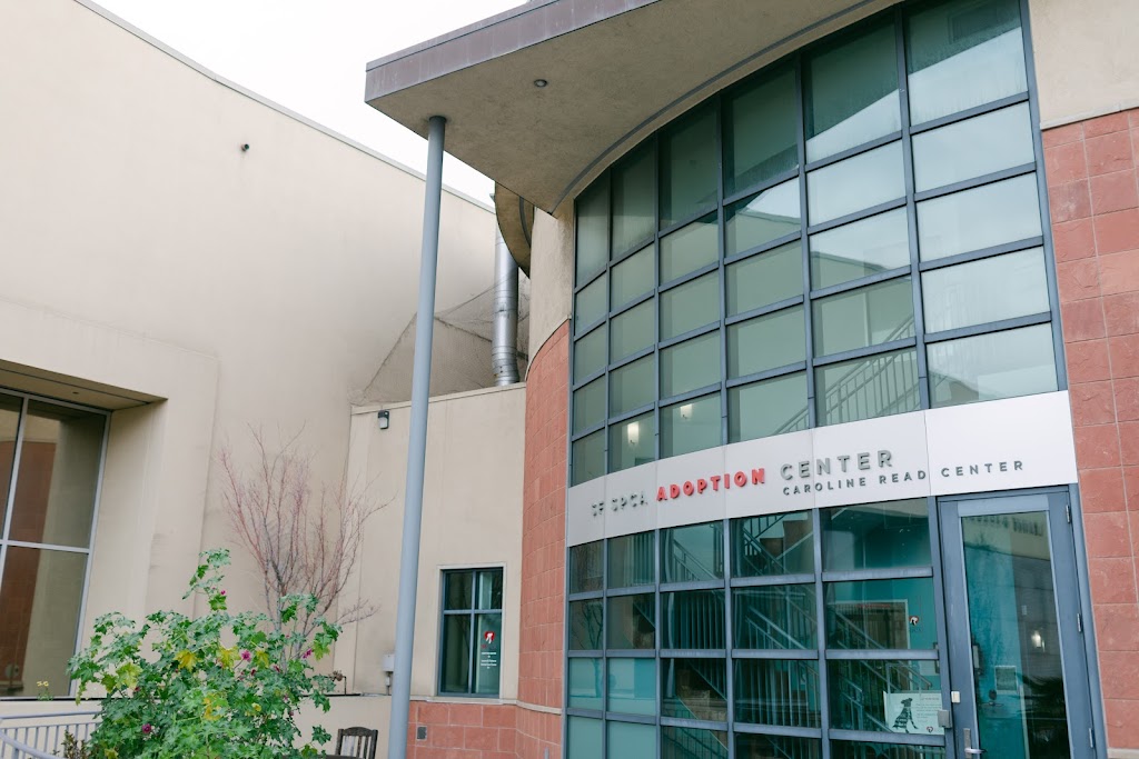 SF SPCA