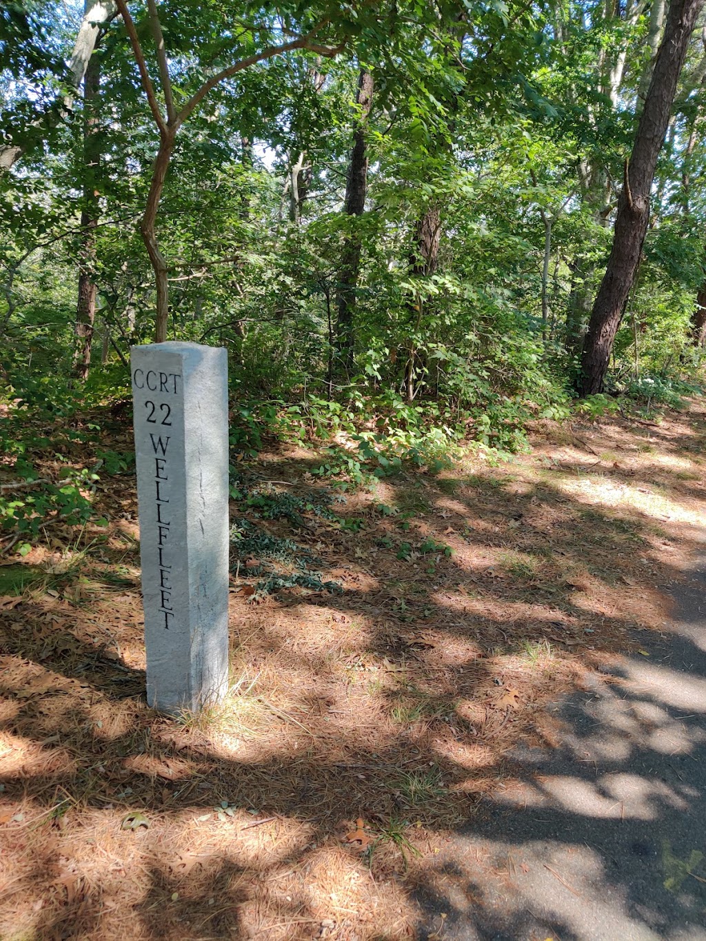 Cape Cod Rail Trail