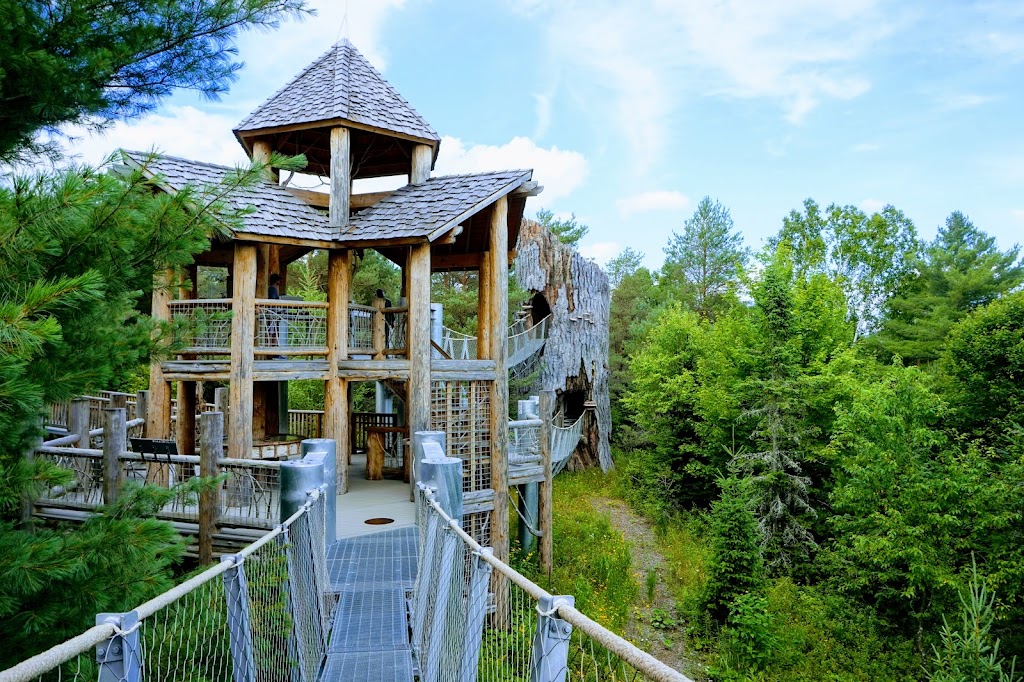 Adirondack Park (Tupper Lake / Wild Center Trails)