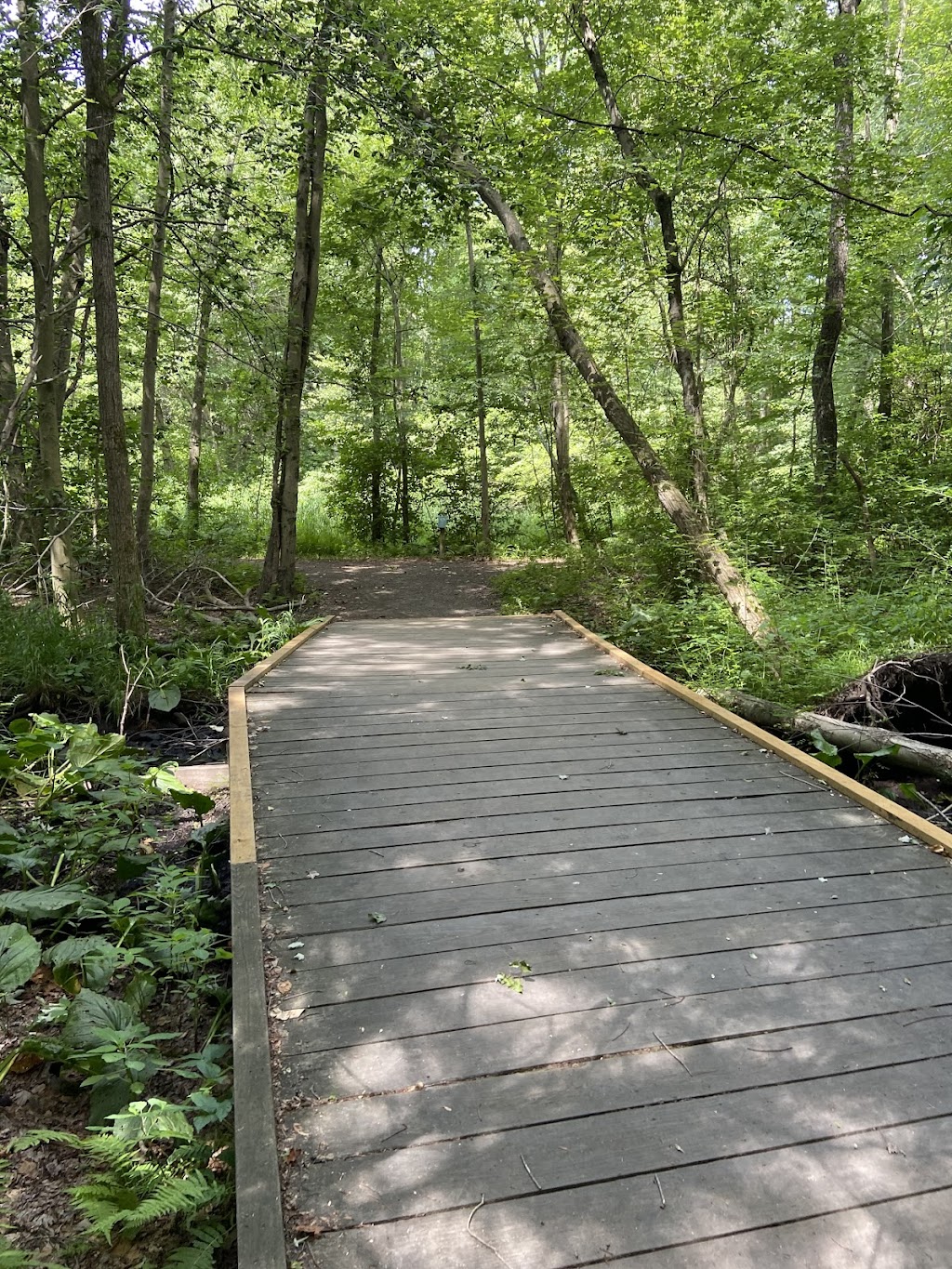 Roy & Margot Larsen Sanctuary