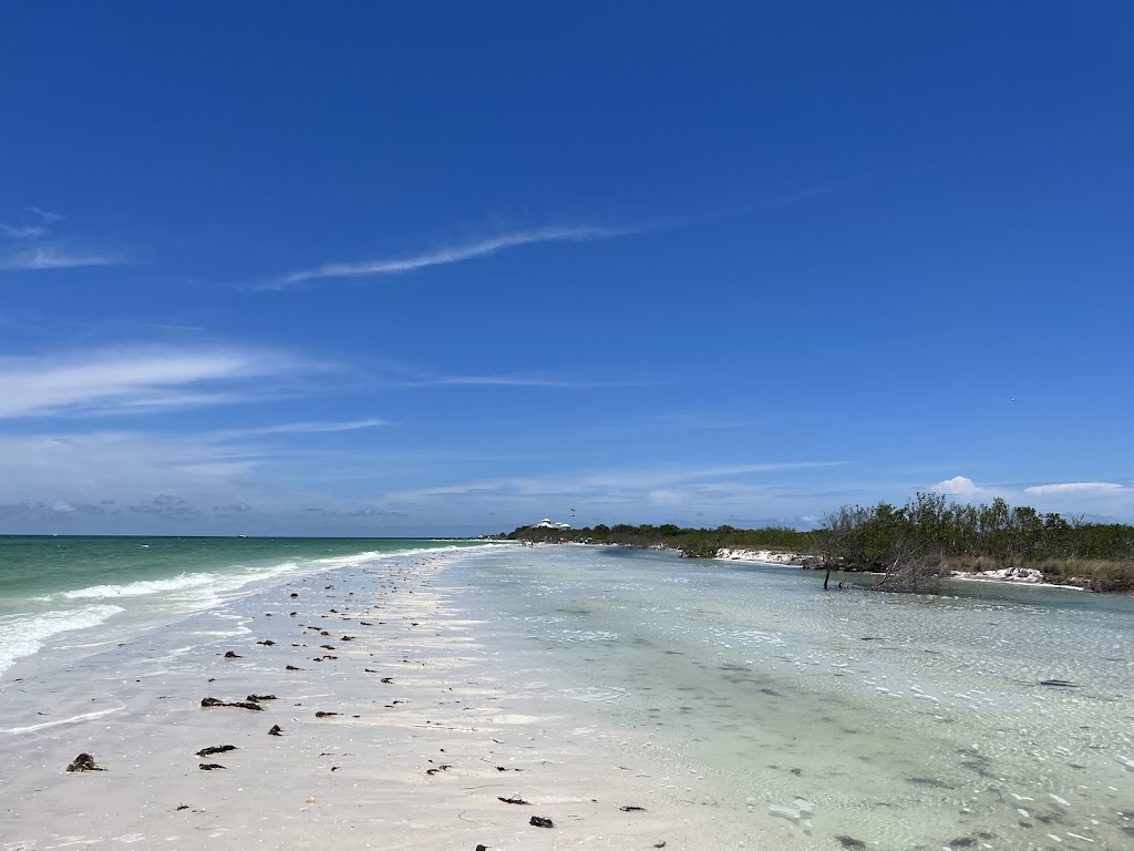 Honeymoon Island State Park (Pet Beach)
