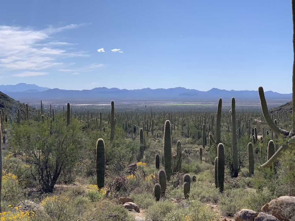 Hugh Norris Trail (Saguaro NP West)