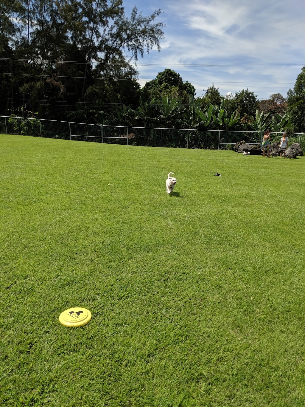 Central Bark Dog Park, Holualoa