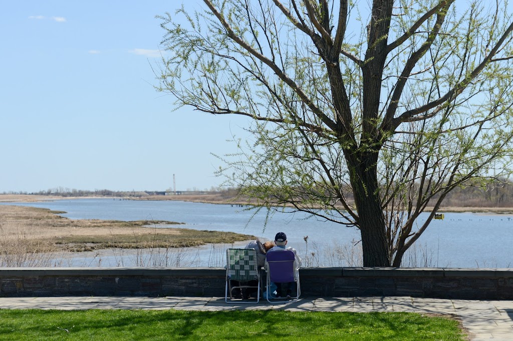 Marine Park Dog Run