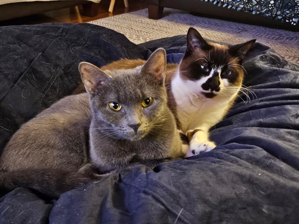 Rhode Island SPCA