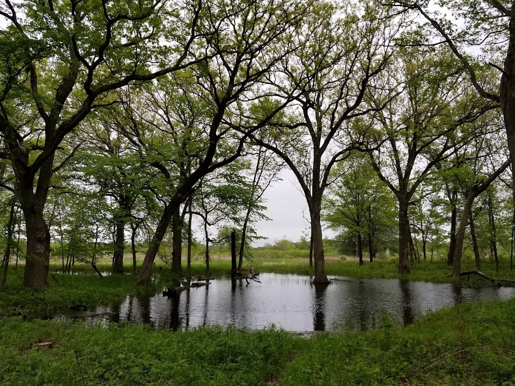 McKee Marsh (Blackwell Forest Preserve)