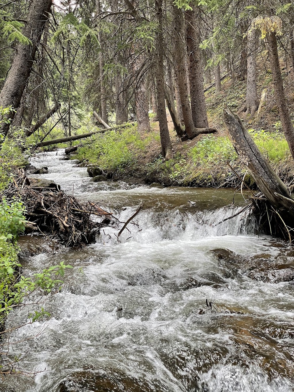Blue River Recreation Pathway