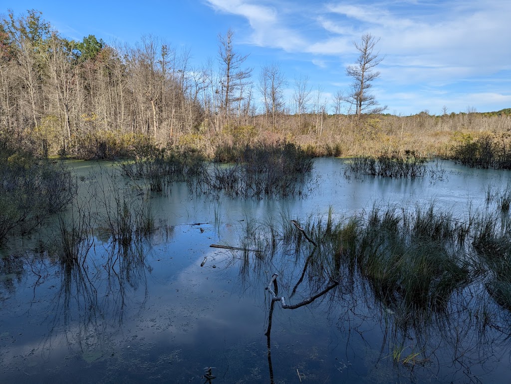 Pyatt Lake Natural Area