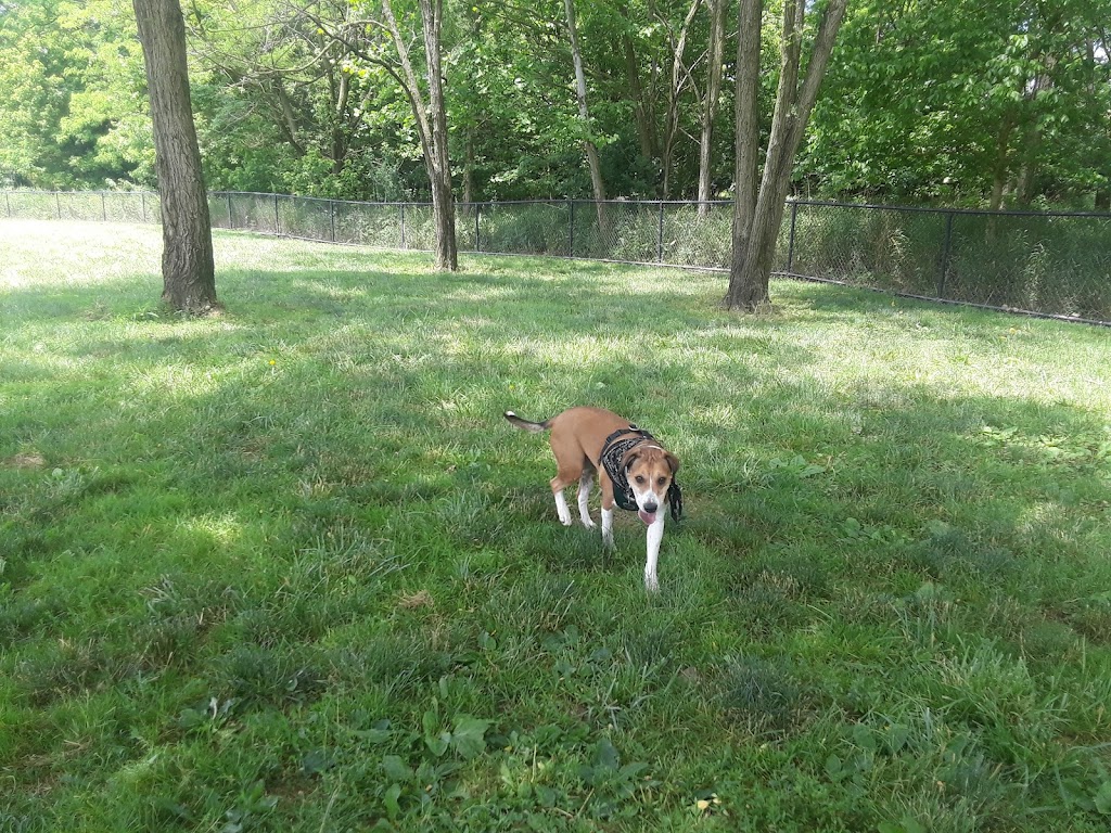 Otto Armleder Memorial Park & Dog Park
