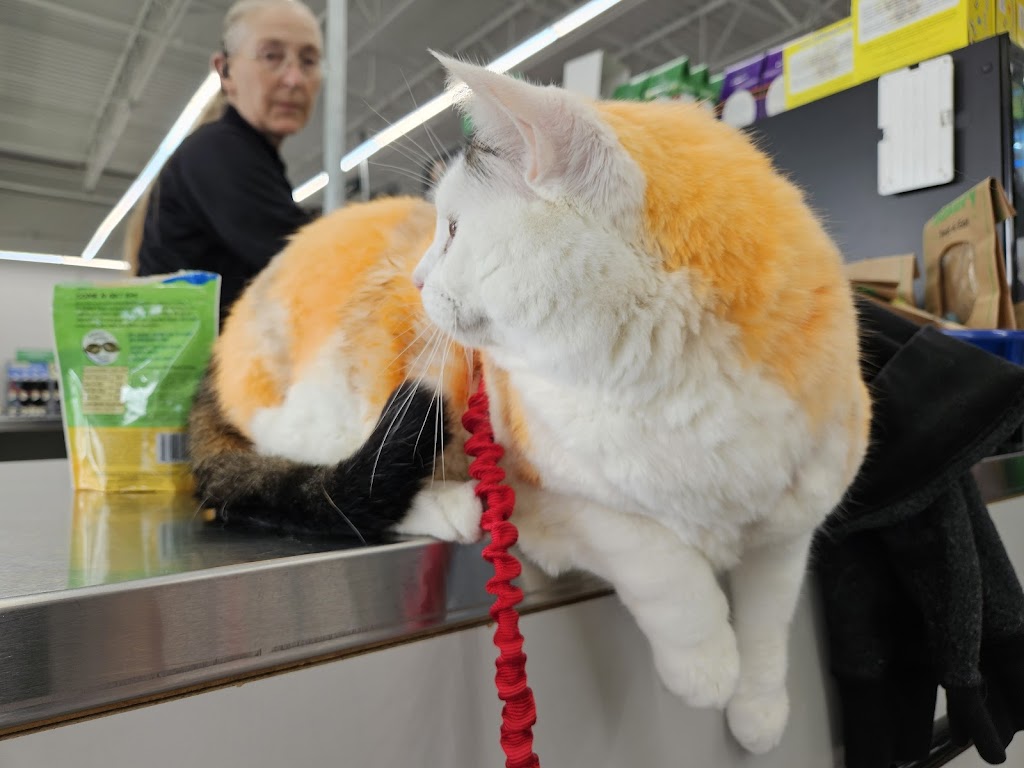 Pet Supplies Plus Grand Rapids