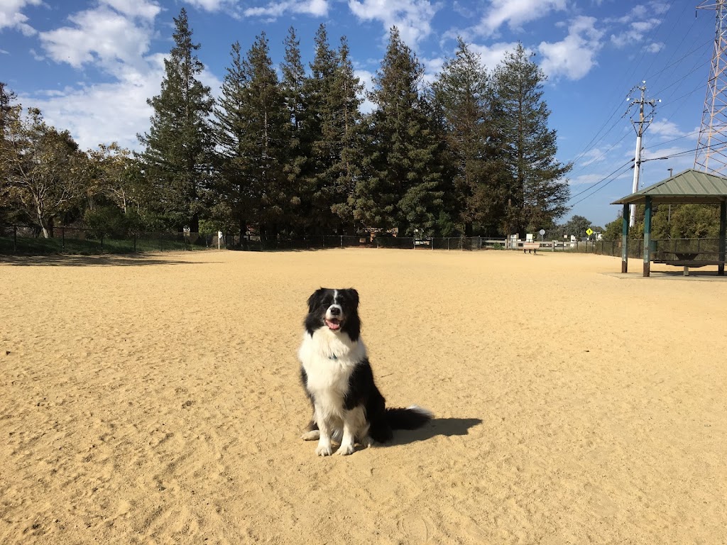 Shoreline Dog Park