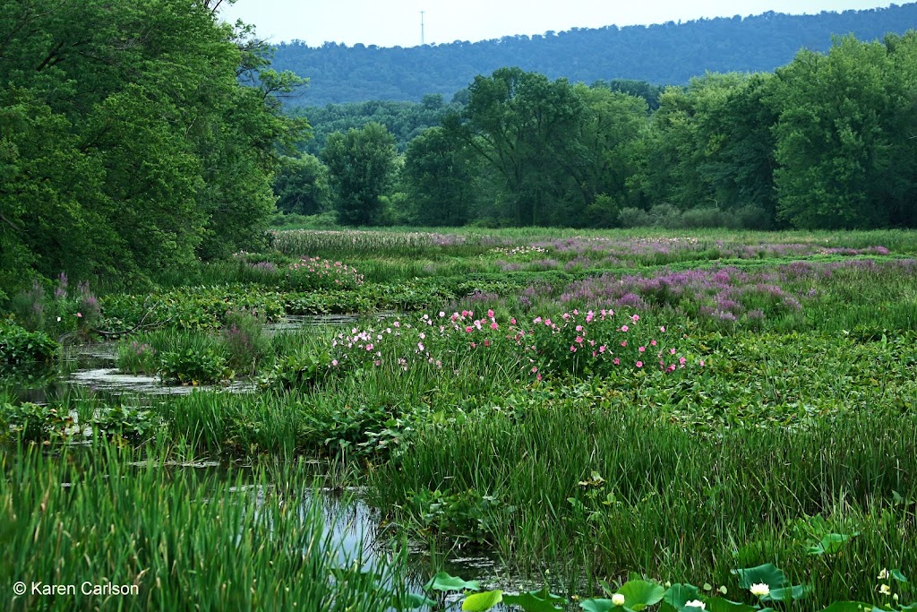 Wildwood Park