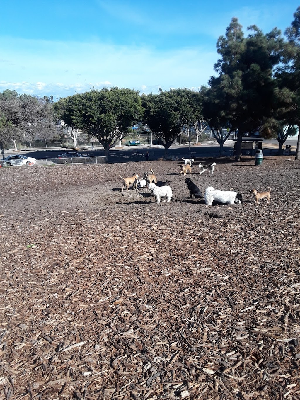 Westminster Dog Park