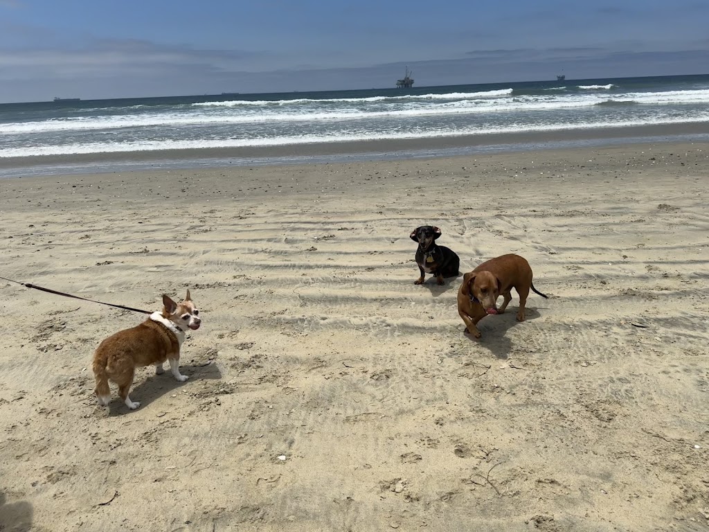 Huntington Dog Beach