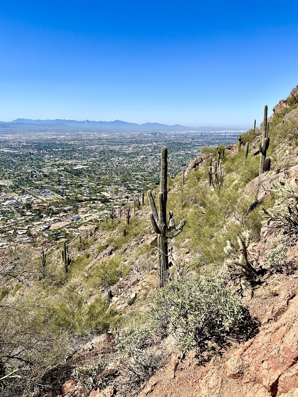 Cholla Trail (Camelback)